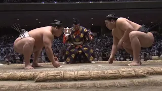 Wakatakakage VS Wakamotoharu