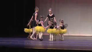 The Very Busy Bee Itty Bitty Ballet