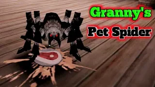 Granny's Precious Pet Spider