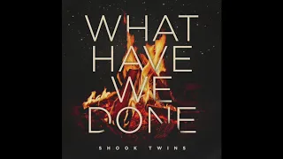 Shook Twins - What Have We Done (audio)