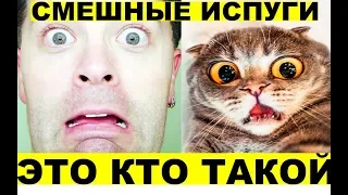 СМЕШНЫЕ ИСПУГИ ЛЮДЕЙ И ЖИВОТНЫХ!!!