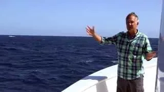 Blue Whale's brilliant timing! - Big Blue Live: Preview - BBC One