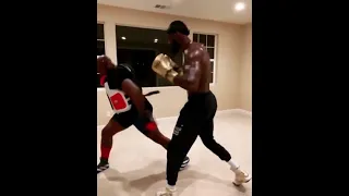 Deontay wilder smashing pads while training for comeback