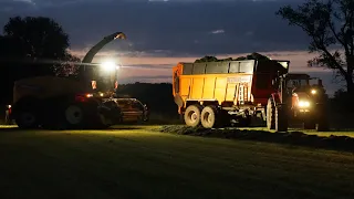 Chopping grass | New Holland FR650 | Loonwerken Verreth