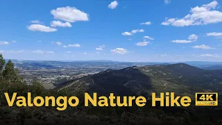 Valongo Nature Hike: 4K Footage Trail (no comments)