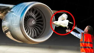 Ja se si testohen motorret e avioneve perpara se te fluturojne !