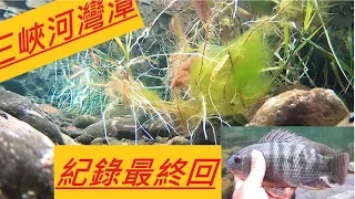 2019 2 27 三峽河灣潭 紀錄最終回 [水門下切路徑介紹]