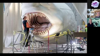 Mysteries of Megalodon