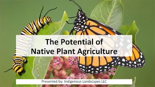 The Potential of Native Plant Agriculture