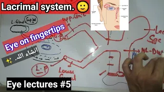 EYE LECTURES #5. ✨ Lacrimal system lacrimal apparatus APPARATUS. #lacrimal #apparatus