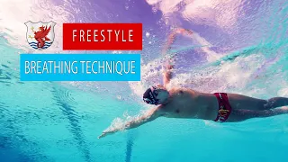 Freestyle Swim Technique - Breathing