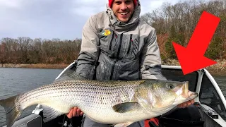 Biggest Bass of My Life!!!