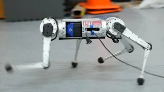 MIT's Mini Cheetah robot runs faster than ever