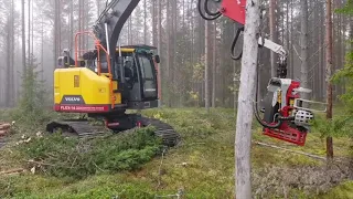 Timberland Harvester Nisula 555C with Volvo 145 + Flex14 undercarriage