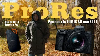 Panasonic S5IIX / Зачем нужен ProRes?