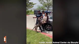 Family Is Reunited with Dog After over 300 Days in Animal Shelter