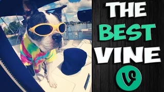 ✔ The Best Vine 2015 Part 9 Vine Compilation - Самые Лучшие Vine Приколы (9 ВЫПУСК)