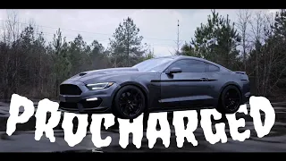 Procharged Mustang ◇CAR EDIT◇