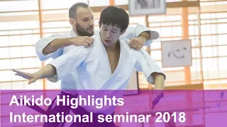 Aikido Highlights International Seminar 2018 - Shirakawa Ryuji shihan