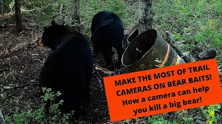 Trail cameras at bear baits: How to make the most of them