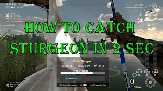 Fishing Planet - How To Fast Catch Sturgeon ( 2 sec )