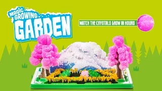 Magic Growing Garden Time Lapse from Tobar