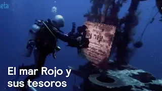 Por el Planeta: El mar Rojo y sus tesoros - Despierta con Loret