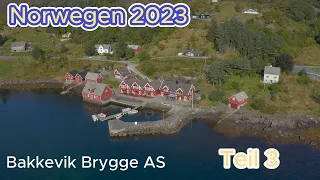 Angeln in Norwegen 2023 Teil3 Bakkevik Brygge AS Seehecht-Leng-Dorsch-Seelachs -Hai und Filetieren