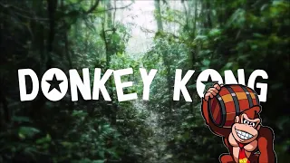 Relaxing Donkey Kong Music + Rain & Thunderstorm Sounds (Vapidbobcat)
