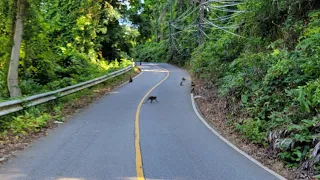 Unveiling the Tropical Paradise: Driving Around Koh Chang, Thailand