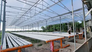 SMB Greenhouse Lubao Pampanga