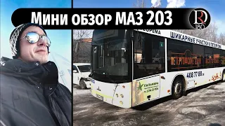 Мини обзор городского автобуса МАЗ 203, 2021 год