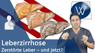 Leberzirrhose: Wie wir durch Alkohol, Medikamente & andere Gifte unsere Leber für immer zerstören!