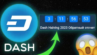 ХАЛВИНГ DASH УЖЕ ЧЕРЕЗ 3 ДНЯ! ПОРА ЗАКУПАТЬСЯ НА ВСЮ КОТЛЕТУ? ОБЗОР DASH 2023