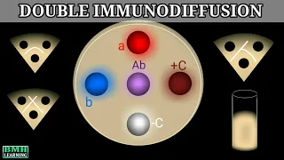 Double Immunodiffusion | Outcherlony Immunodiffusion |