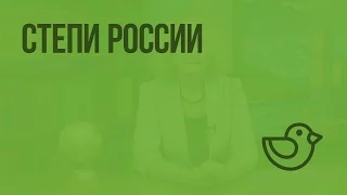 Степи России. Видеоурок по окружающему миру 4  класс