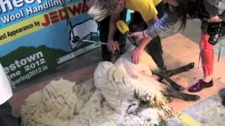 Sheep Shearing on the Ray D'Arcy Show