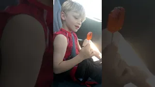 Twins trying to eat a sucker with a cricket in it