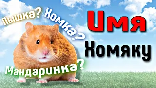 как НАЗВАТЬ ХОМЯКА❓яХрумка