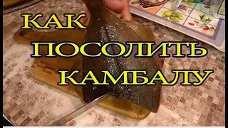 как разделать и посолить камбалу