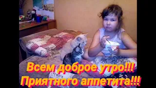 Завтрак с котиками//Йогурты Epica любят даже котики//Утро пятницы уррраааа!!!