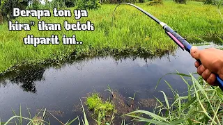 Spot Mancing Ikan Betok Papuyu Paling Diminati Pemancing Liar