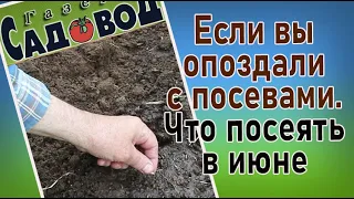 Если вы опоздали с посевами, что посеять в июне