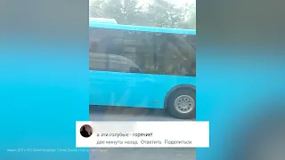 Транспортная реформа жжет: очередной лазурный автобус загорелся в Петербурге