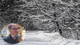 tombe la neige-Adamo  alto saxophone by Kim.석구 건우