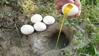 Unbelievable Fishing With Eggs | Naturally Food Fishing   The method of Eel fishing from the river s