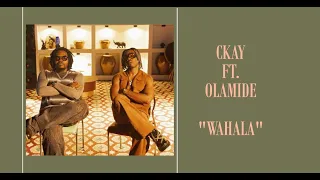 Ckay 'Wahala' Ft  Olamide 1 Hour Loop On NoireTV #noiretv #ckay #olamide #wahala #afrobeats #lyrics