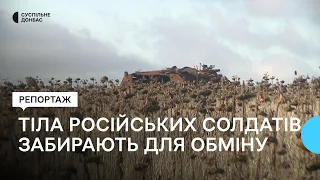 На межі Донецької та Харківської областей тіла російських військових забирають для обміну