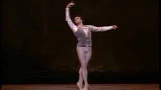 Alexei Fadeyechev (for Cathy) - Swan Lake - Clip 1