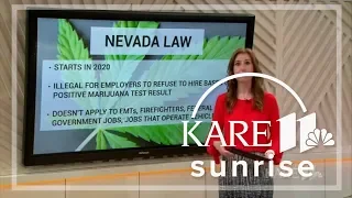 Digital Dive: Nevada bans pre-employment marijuana testing